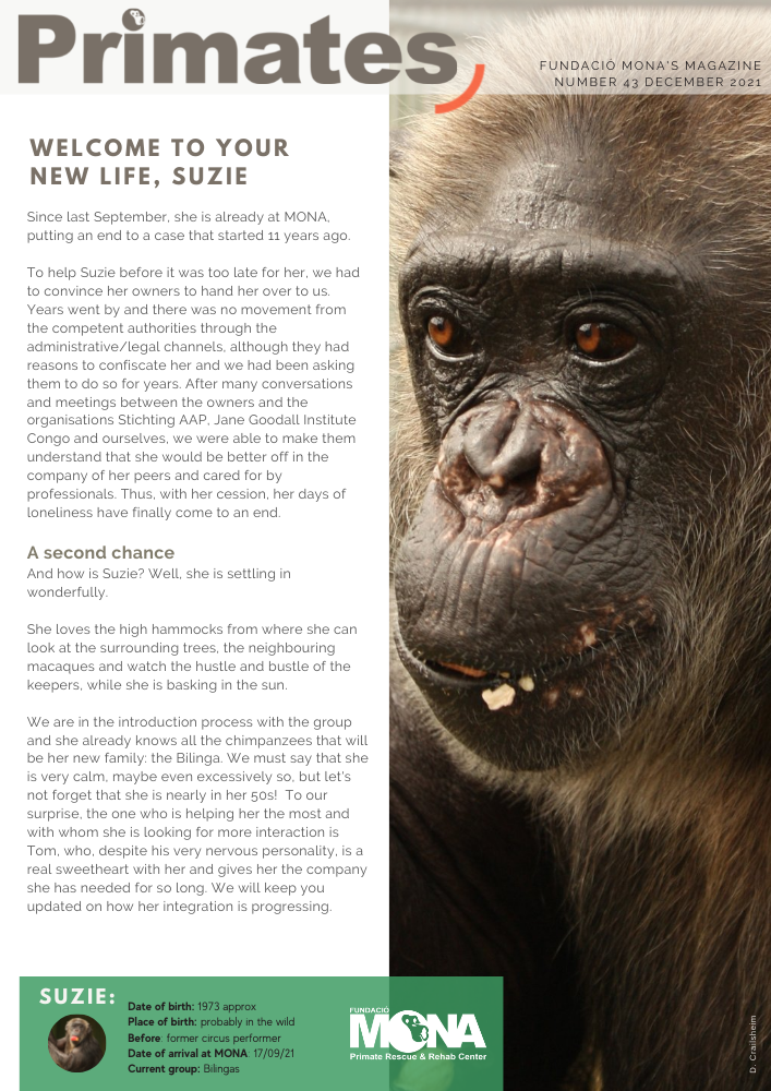 Primates 43 Newsletter